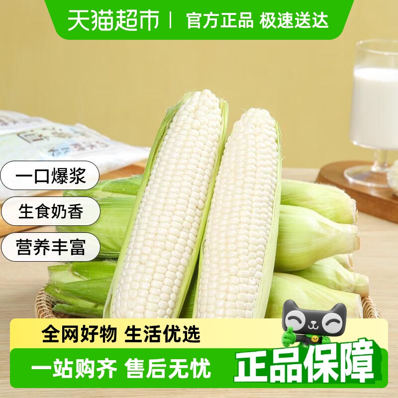 攀果爆浆冰糖牛奶水果玉米