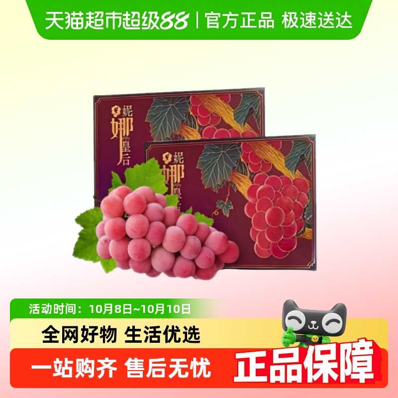 果园密码妮娜皇后葡萄无籽提子