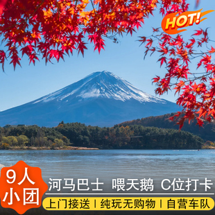 日本东京富士山一日游小团 罗森 河马巴士河口湖箱根大涌谷可接送