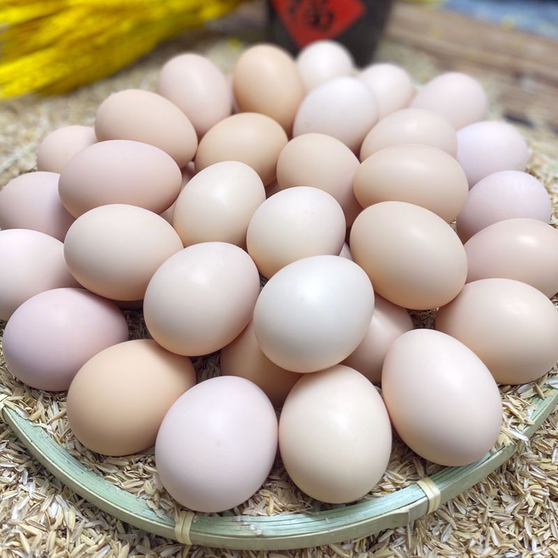 40枚现捡现发新鲜草鸡蛋正宗农家散养土鸡蛋宝宝孕妇可食用月子蛋