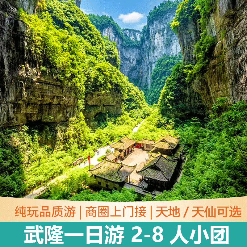 8人小团重庆武隆一日游纯玩天坑地缝仙女山跟团游天生三桥门票