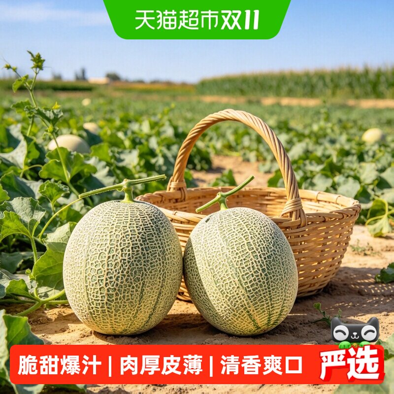 鲜瑞坊网纹蜜瓜皮薄多汁新鲜水果甜瓜整箱发货【下拉详情领优惠】