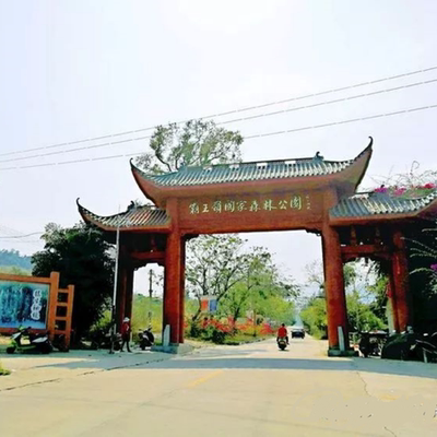 [霸王岭国家森林公园-白石潭景区门票]霸王岭国家森林公园白石潭门票