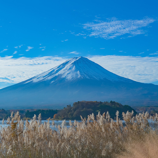 日本东京6日自由行广州往返全日空五星航班可代办签证