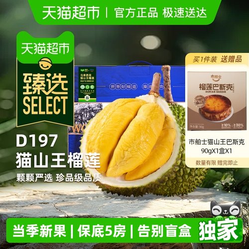 臻选市舶士马来AA级猫山榴莲王