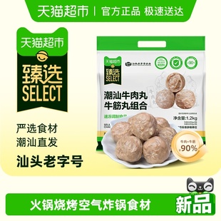 内6包 潮汕牛肉丸牛筋丸组合90%牛肉含量汕头原产地1200g 臻选