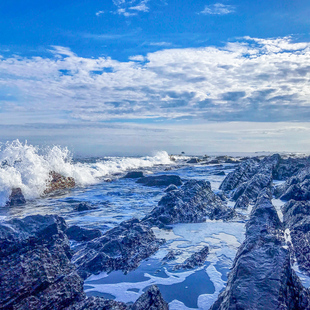 五大洲 毛里求斯包车旅游 路易港包车毛里求斯翻译地陪