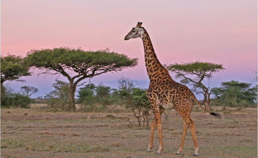 安博塞利国家公园一日游