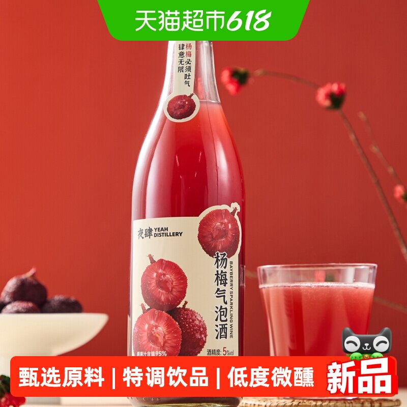新品上市夜肆杨梅气泡酒低度酒微醺480ml