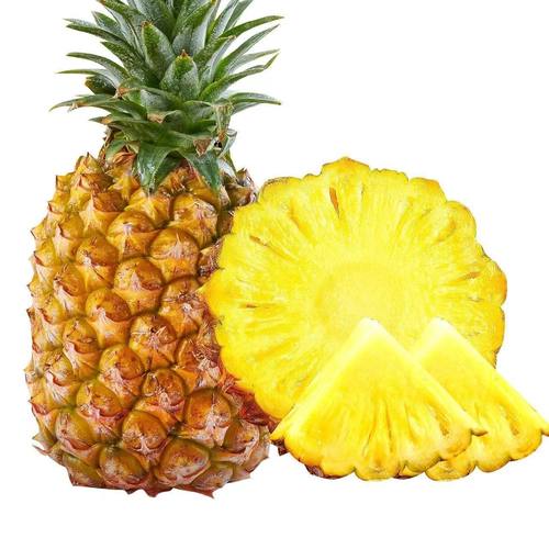 海南正宗金钻凤梨新鲜水果香甜多汁产地直发