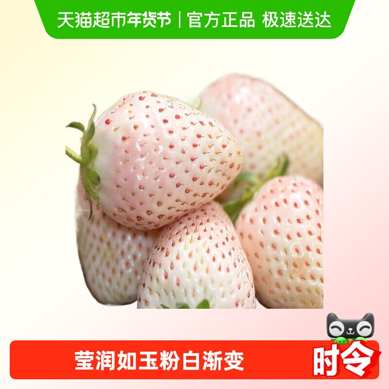 【空运】淡雪奶油白草莓新鲜采摘果肉细腻清甜绵密,水产肉类/新鲜蔬果/熟食,草莓,淘宝优惠券,粉丝福利购,淘宝优惠卷