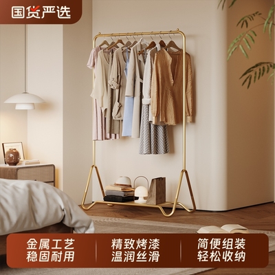 星丞简约挂衣架轻奢风铁艺衣帽架