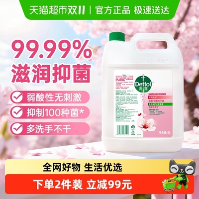 滴露滋润抑菌洗手液