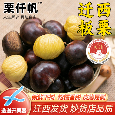 栗仟帆 正宗迁西鲜板栗3斤燕山栗子油栗河北唐山特产毛栗3113甜糯
