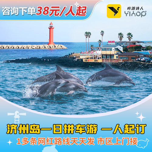 济州岛一日游牛岛西南海豚