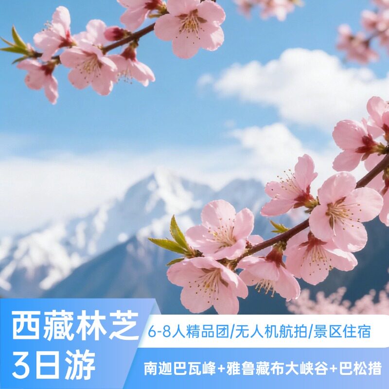 西藏旅游林芝3日游