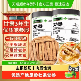 甘肃党参段精选渭源党参切段条搭黄芪当归元气四宝茶气血中草药材