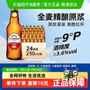 24瓶新鮮爽口 千島湖啤酒9°P全麥精釀原漿230ml