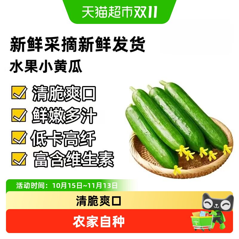 众利合新鲜水果小黄瓜脆嫩荷兰小青瓜绿色蔬菜生吃蔬菜沙拉可生吃