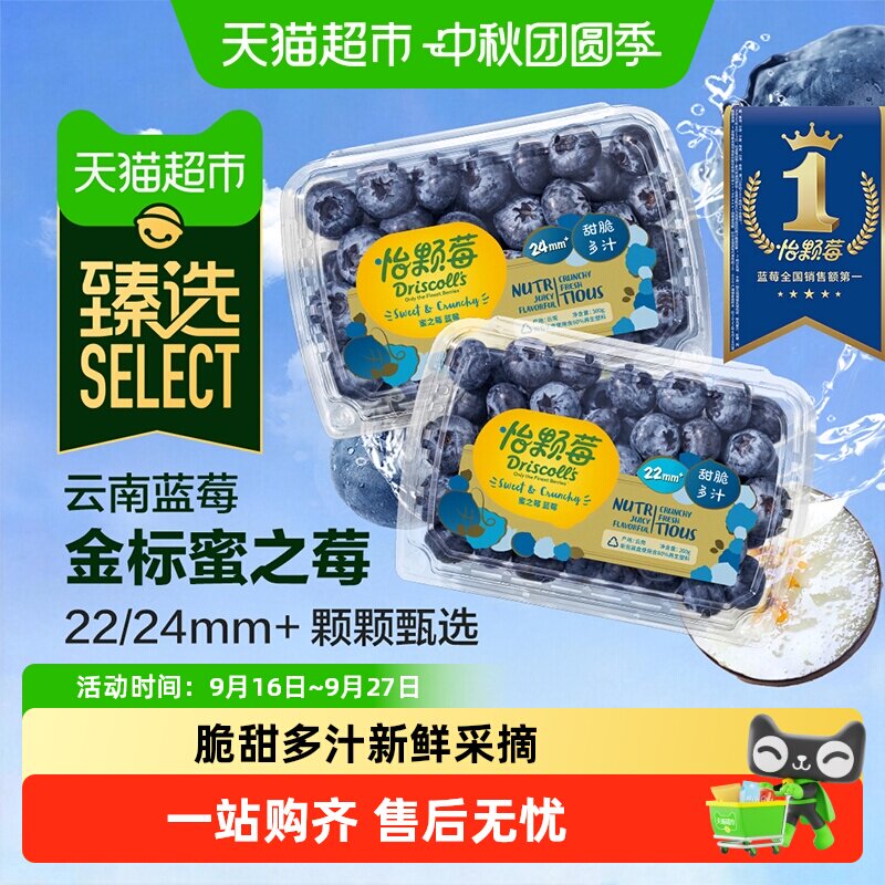 猫超臻选云南蓝莓脆甜多汁