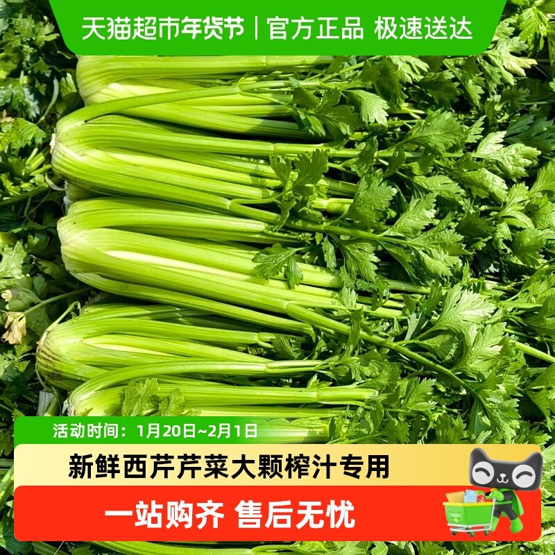 新鲜西芹芹菜大颗榨汁专用果蔬山东寿光时令绿色蔬菜现摘现发,水产肉类/新鲜蔬果/熟食,叶菜类,淘宝优惠券,粉丝福利购,淘宝优惠卷
