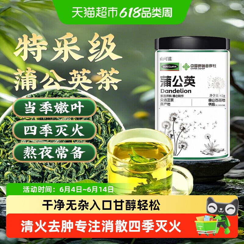 蒲公英茶野外生级特中草药材新鲜婆婆丁无惧火气蒲公英根叶养生茶