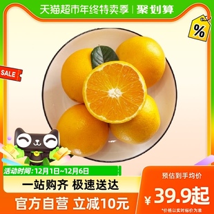 预售 秭归脐橙单果65mm起香甜多汁现摘现发 陈洁kiki双11