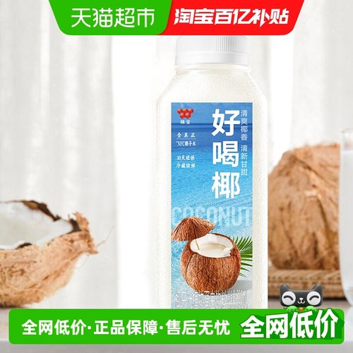 味全椰汁植物蛋白饮料300ml×8瓶