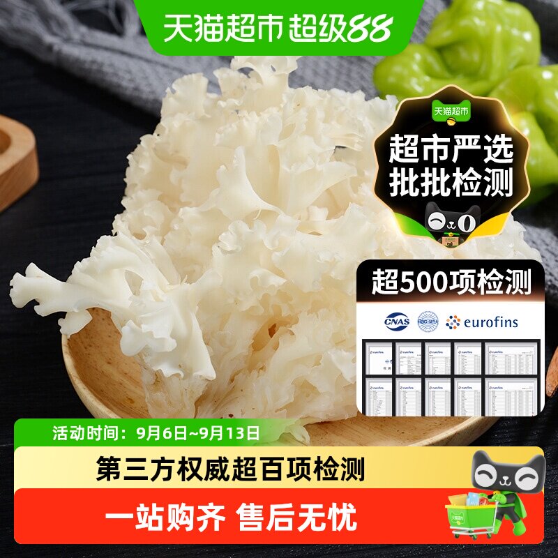 玲珑岭古田新鲜绣球菌营养丰富图片