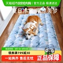 冰窝猫窝猫垫子睡觉用降温凉席凉垫狗狗睡垫猫咪用品 宠物冰垫夏季