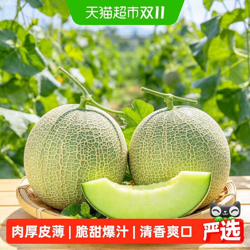 鲜瑞坊网纹蜜瓜皮薄多汁新鲜脆甜甜瓜整箱发货【下拉详情领优惠】