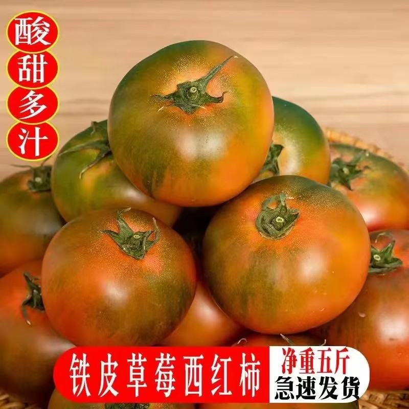 丹东盐碱地铁皮柿子草莓柿子绿腚碱地油柿子铁皮西红柿水果番茄