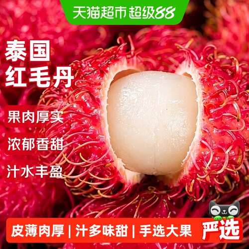 京运达泰国进口当季红毛丹
