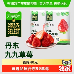【臻选】末浅丹东99草莓红颜九九大草莓应季新鲜水果现摘产地直发