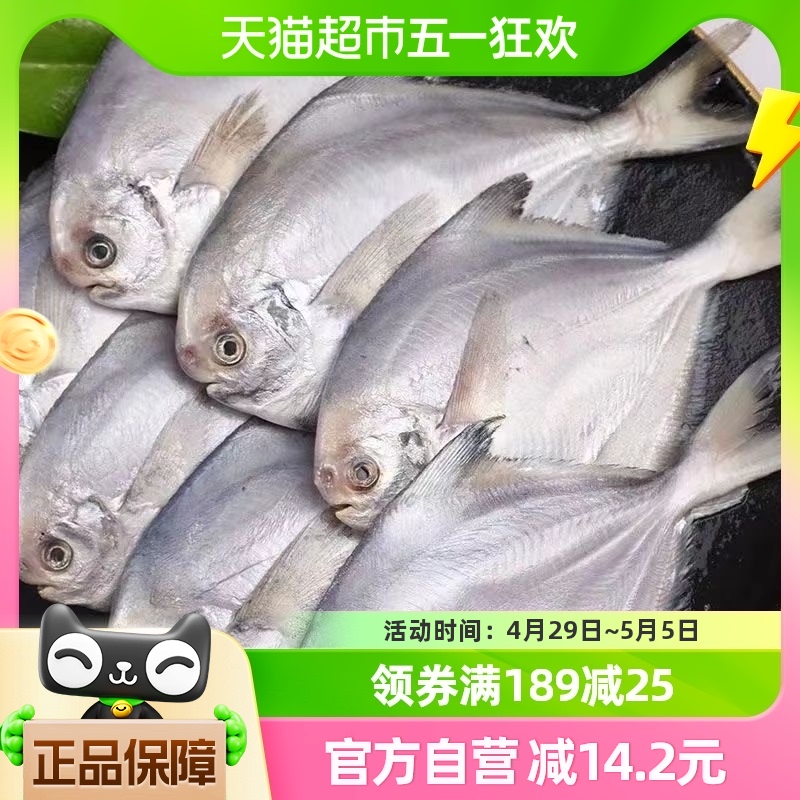 闽峡深海新鲜冷冻白鲳鱼1kg×1袋