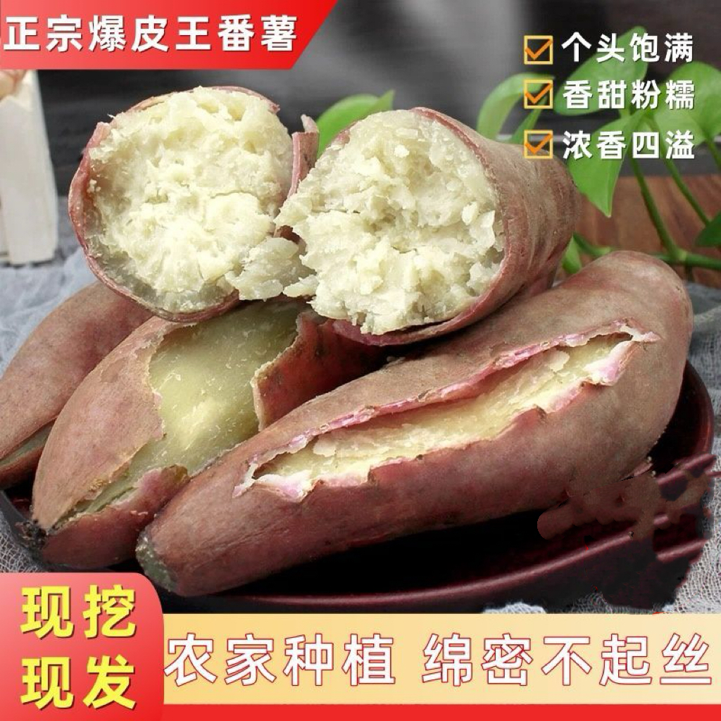 湛江爆皮王番薯新鲜沙地粉糯香甜广东当季白心板栗红薯干面地瓜