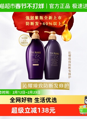 丝蓓绮沁耀臻致防断发修护洗发露护发素套装450ml*2柔顺修护