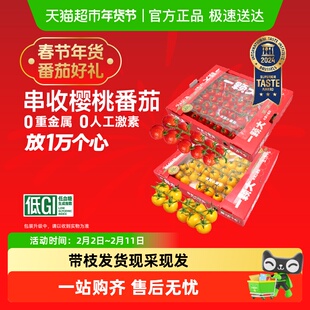 【一颗大】玲珑串樱桃番茄新鲜孕妇水果生吃自然熟