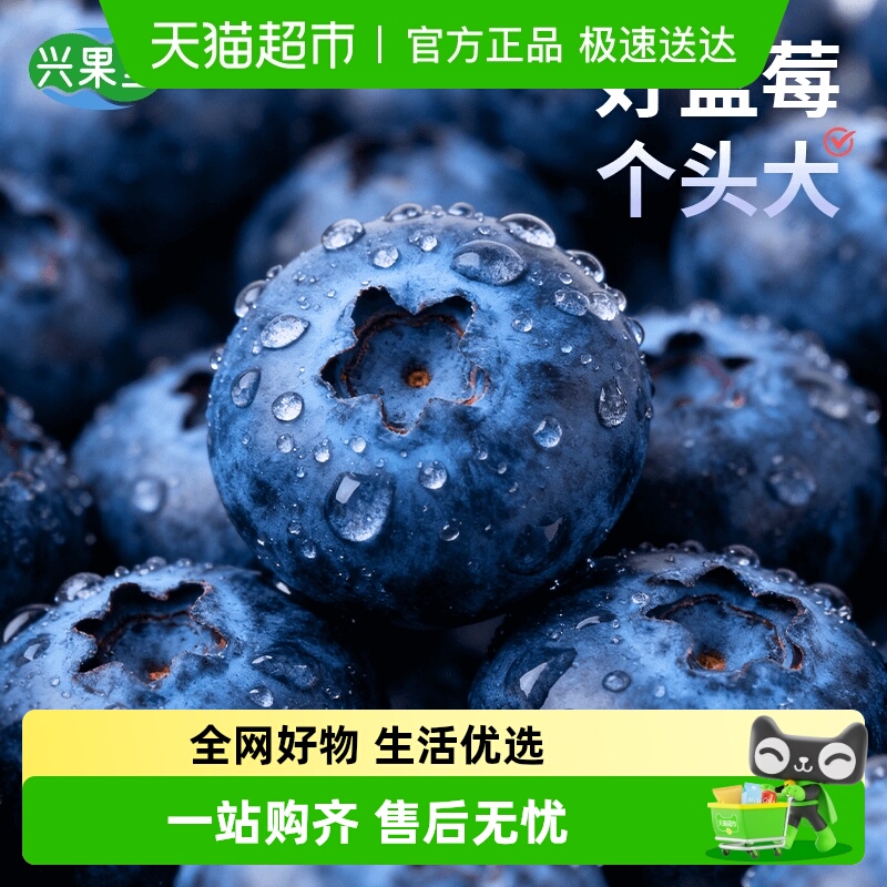 兴果里云南花香蓝莓头茬当季鲜果