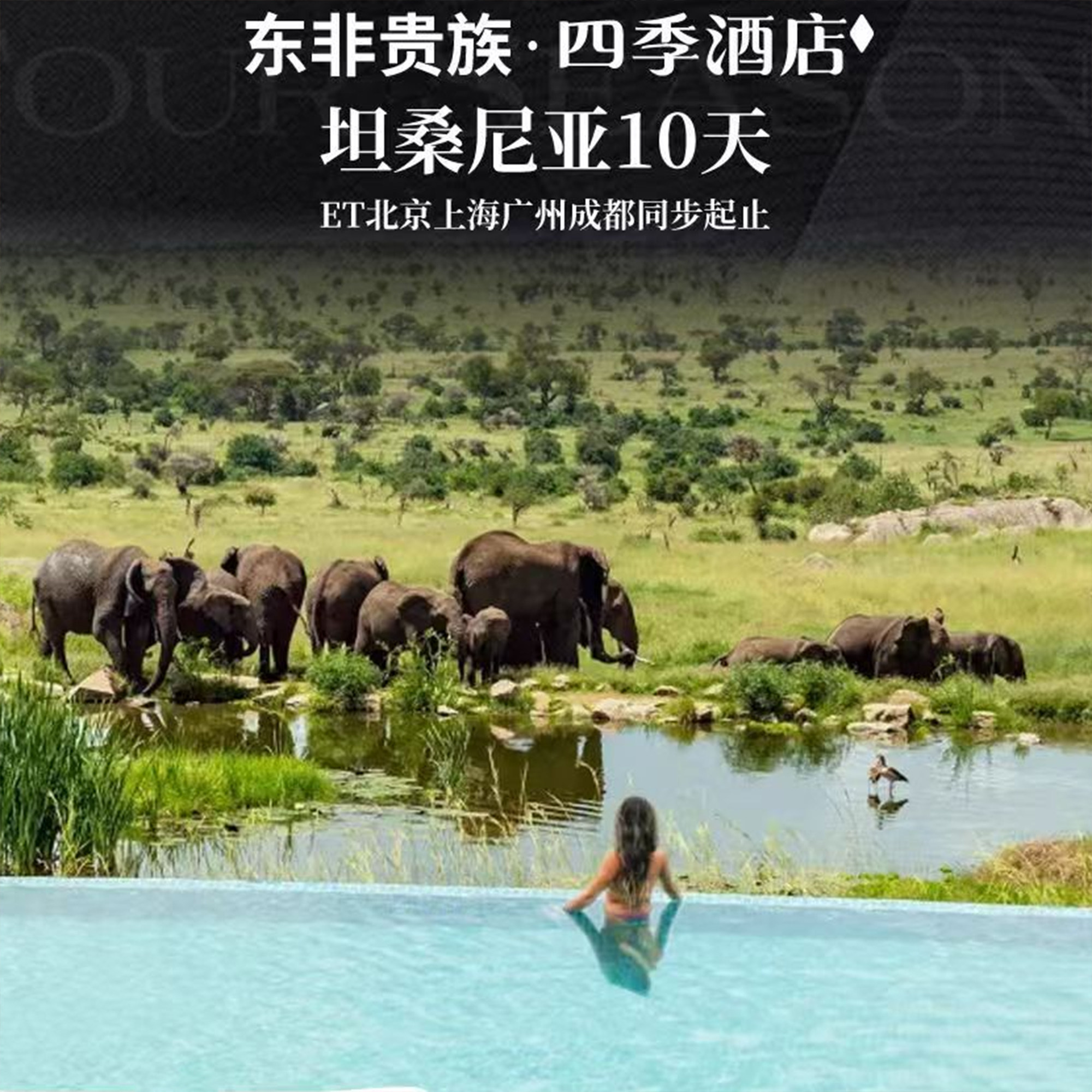 东非贵族四季酒店桑给巴尔岛塞伦盖蒂阿鲁沙坦桑尼亚10天跟团旅游