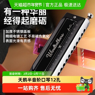 天鹅半音阶口琴12孔10C调十二专业演奏级初学者学生入门练习正品