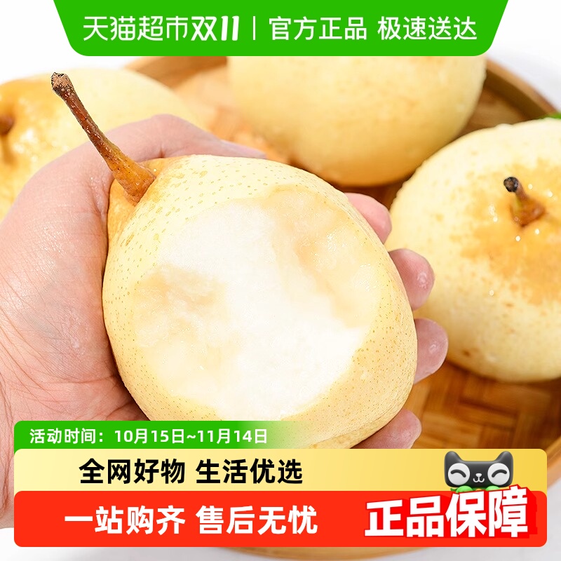 新鲜砀山酥梨梨子