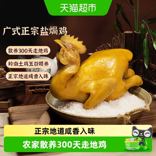 星球煮盐焗鸡地道咸香鲜嫩