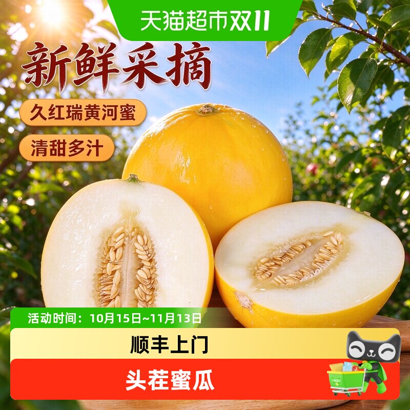 正宗头茬久红瑞甜瓜新鲜水果黄河瓜山东白肉蜜瓜现摘应季香瓜整箱