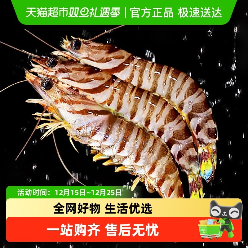 鲜驰九节虾斑节虾竹节虾海鲜1kg