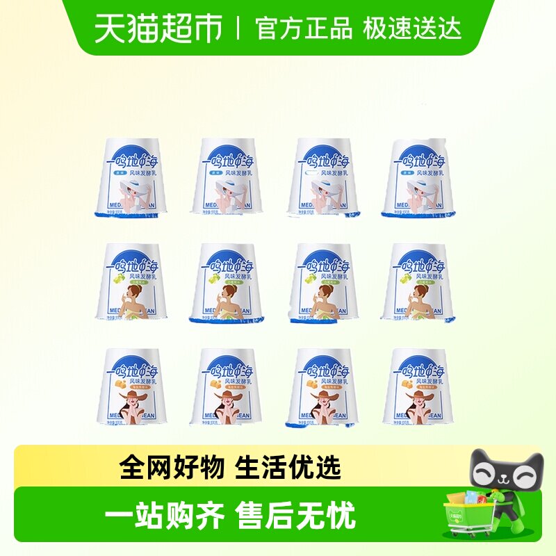 一鸣地中海酸奶炭烧风味海盐焦糖低温原味酸奶