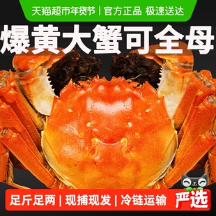 I活蟹I仲秋大闸蟹鲜活现货特大全母螃蟹公河蟹精品礼盒