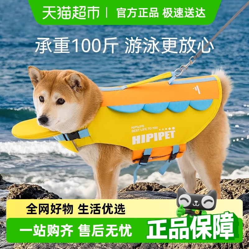 嬉皮狗中大型狗狗夏天玩水泳衣