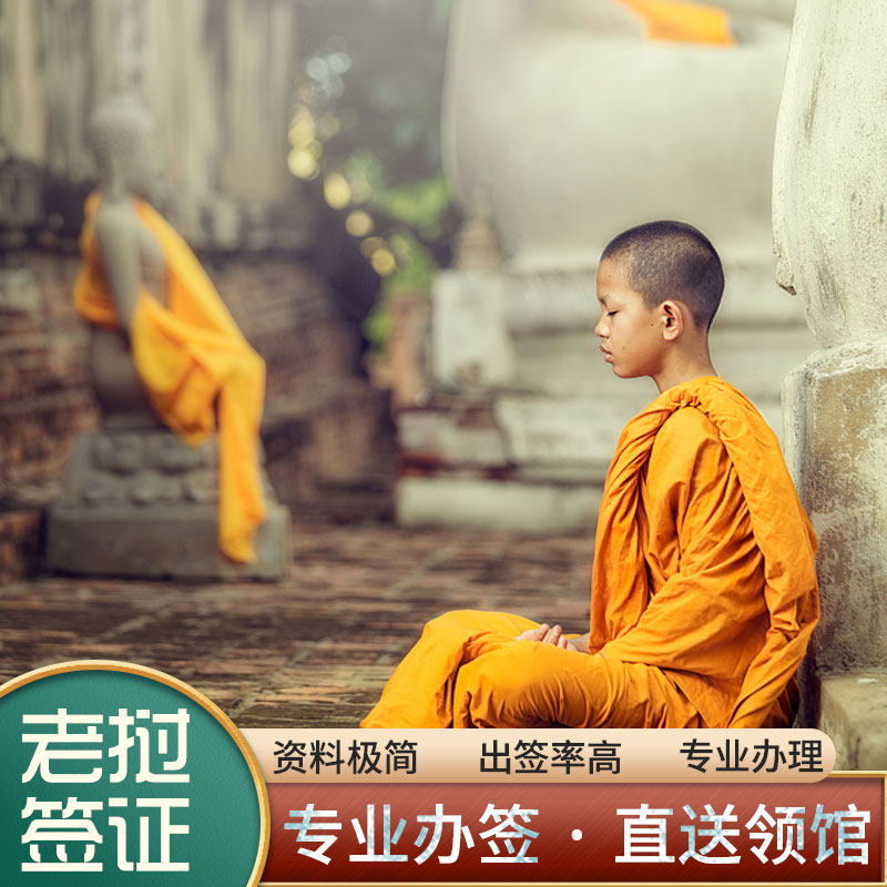 简化资料  仅需护照 直送领馆  信息安全可靠 专业办理  一对一咨询服务 快速通关  省心省时省力