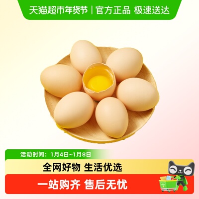 口袋饱饱食品新鲜正宗笨鸡蛋